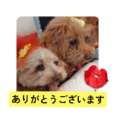 [LINEスタンプ] 3姫①