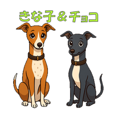 [LINEスタンプ] ウィペット「きな子」とイタグレ「チョコ」
