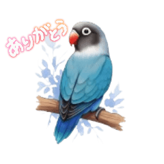 [LINEスタンプ] ブルーボタンインコスタンプ8個の画像（メイン）