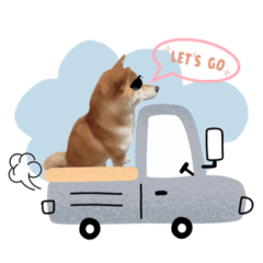 [LINEスタンプ] 《毎日使える》柴犬ぽんずくん♡