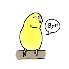 [LINEスタンプ] セキセイインコの可愛い1日（イエロー）