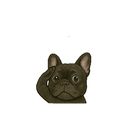 [LINEスタンプ] フレブル ぶーちゃん