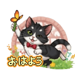 [LINEスタンプ] やんちゃな猫ちゃんず