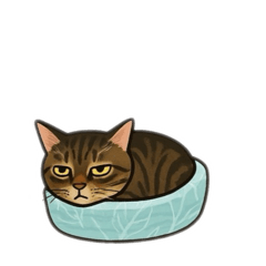 [LINEスタンプ] 表情豊かな猫文字少なめ