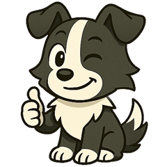 [LINEスタンプ] ボーダーコリーとトーク