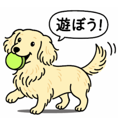 [LINEスタンプ] ミニチュアダックス(ロング＋クリーム)