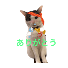 [LINEスタンプ] ありがとうもなかのもんちゃん