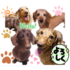 [LINEスタンプ] りゅうちゃんと仲間達