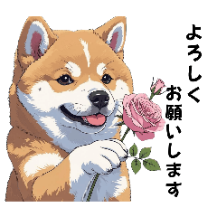 [LINEスタンプ] あなたへ贈る花束、柴犬普段使い♡