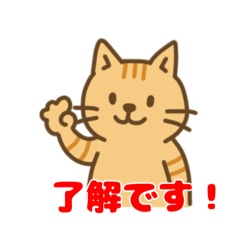 [LINEスタンプ] 茶トラ猫くんの日常スタンプ