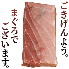 [LINEスタンプ] 年中使える敬語まぐろ