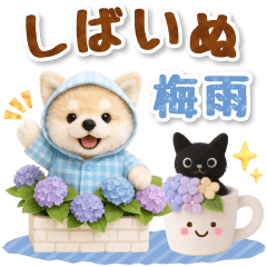 [LINEスタンプ] しばいぬの大人可愛い梅雨スタンプ