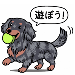 [LINEスタンプ] ダックス(ロング＋シルバーダップル）