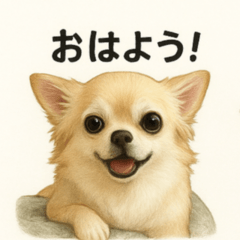 [LINEスタンプ] ちわわのもも、写実風。