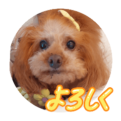 [LINEスタンプ] ni-na①