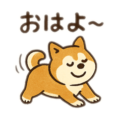 [LINEスタンプ] 柴犬ひめちゃんのスタンプ