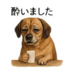 [LINEスタンプ] 大好きくーちゃんスタンプ 1