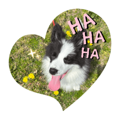 [LINEスタンプ] チロルとデイル