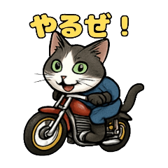 [LINEスタンプ] バイク猫のぶんた