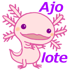 [LINEスタンプ] かわいいウーパールーパー(スペイン語)