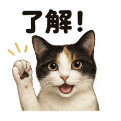 [LINEスタンプ] 優しい三毛猫の日常で使えるLINEスタンプ