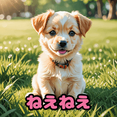 [LINEスタンプ] ふわモコ子犬のほんわかスタンプ