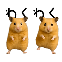 [LINEスタンプ] 【再販】動く！なかよしハムスターズ