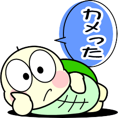 [LINEスタンプ] ただの小さなカメ