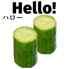 [LINEスタンプ] きゅうり 【英語】