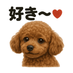 [LINEスタンプ] 優しいトイプードルの日常で使えるLINE