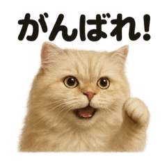 [LINEスタンプ] 優しいペルシャ猫の日常で使えるLINE
