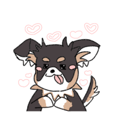 [LINEスタンプ] まろ眉ロングコートチワワのまろ。