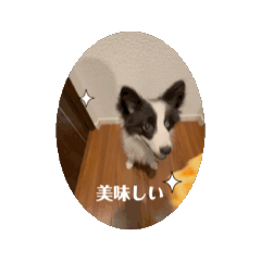 [LINEスタンプ] 動くチロルとデイル2