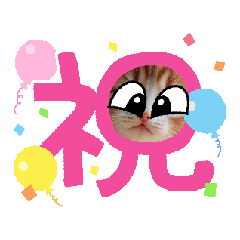 [LINEスタンプ] oirann50