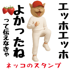 [LINEスタンプ] ネッコのスタンプ.