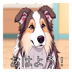 [LINEスタンプ] コリーがいっぱい