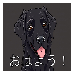 [LINEスタンプ] フラットコーデットレトリバーがいっぱい