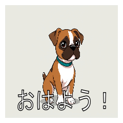 [LINEスタンプ] ボクサーがいっぱい