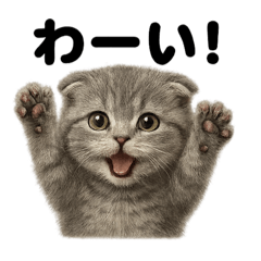 [LINEスタンプ] 優しいマンチカン猫の日常会話LINEスタンプ
