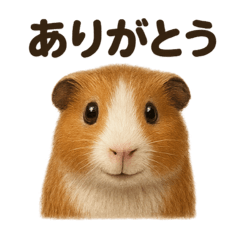 [LINEスタンプ] 優しいモルモットの日常で使えるLINE