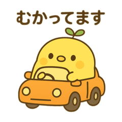 [LINEスタンプ] はっぱひよこスタンプ