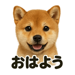[LINEスタンプ] 優しい芝犬の日常で使えるLINEスタンプ