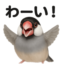 [LINEスタンプ] 優しい文鳥の日常で使えるLINEスタンプ