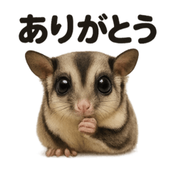 [LINEスタンプ] 優しいフクロモモンガの日常会話LINE