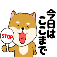 [LINEスタンプ] 柴犬のふぅちゃん13