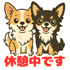 [LINEスタンプ] 小さな黒と白茶のチワワたち