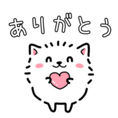 [LINEスタンプ] 毎日使える！白ポメの挨拶・感情スタンプ