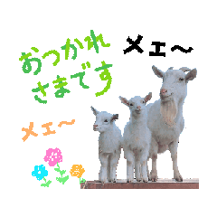 [LINEスタンプ] ヤギさんでごあいさつ♪ (アニメーション)