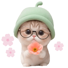[LINEスタンプ] 動く！かわいいメロン帽 眼鏡ネコたち