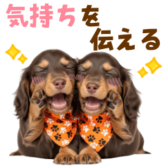 [LINEスタンプ] 毎日使える！感情豊かなダックス